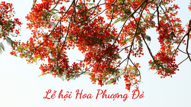Hải Phòng sôi nổi chuỗi hoạt động chào mừng các ngày lễ lớn trong tháng 4, tháng 5